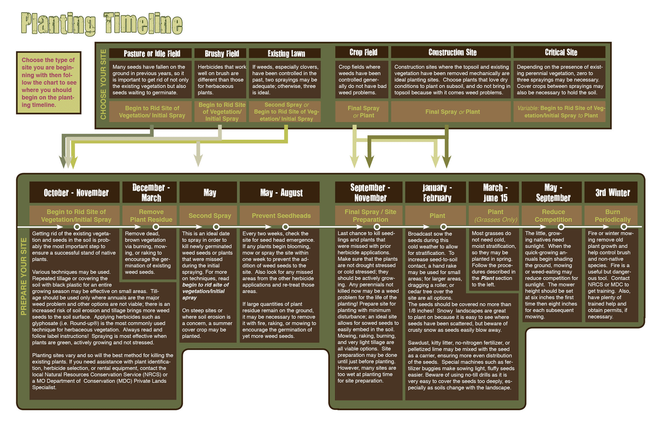 Planting timeline